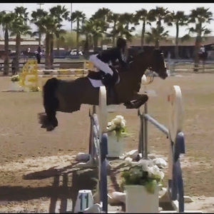 Meet your Posher, Mg